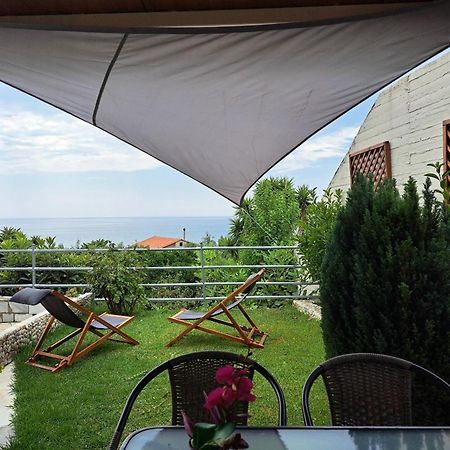 Olive Tree Villa 利贾 外观 照片