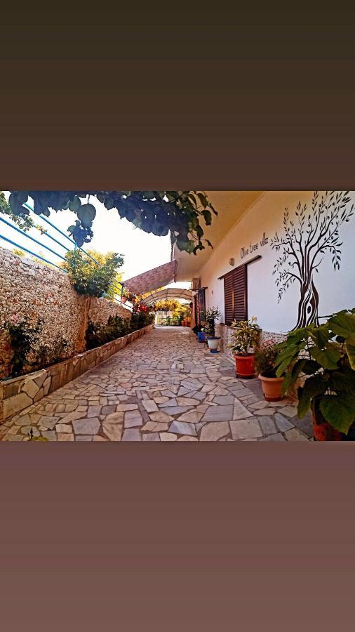 Olive Tree Villa 利贾 外观 照片