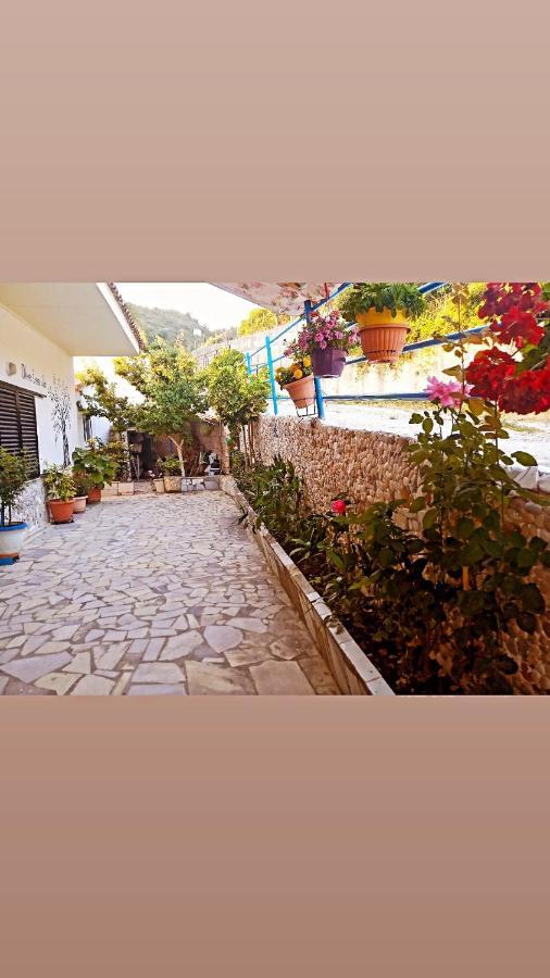 Olive Tree Villa 利贾 外观 照片