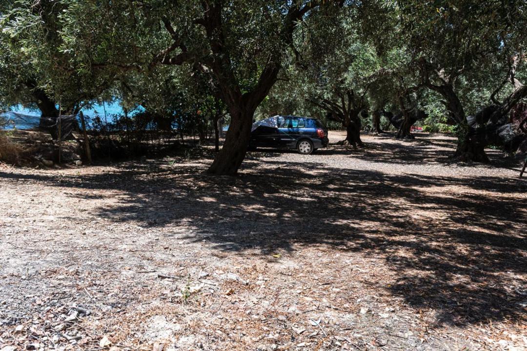 Olive Tree Villa 利贾 外观 照片