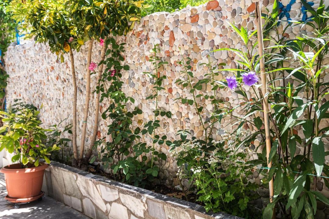Olive Tree Villa 利贾 外观 照片