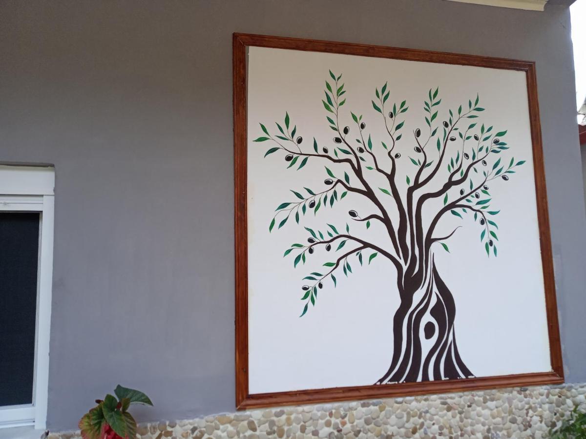 Olive Tree Villa 利贾 外观 照片