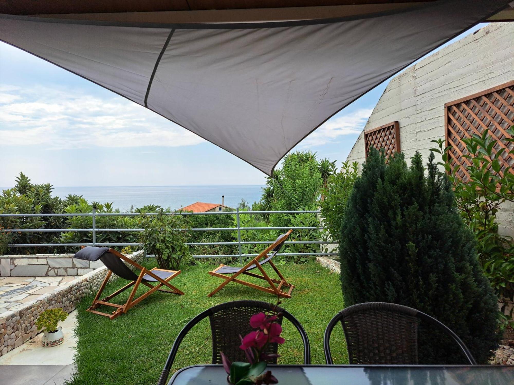 Olive Tree Villa 利贾 外观 照片